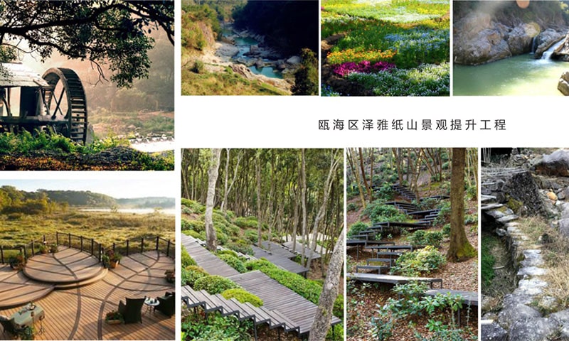 瓯海区泽雅纸山景观