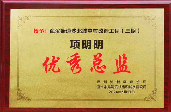 优秀总监