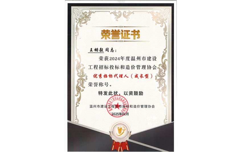 优秀招标代理人(成长型)